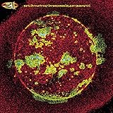 311  FROM CHAOS - CD