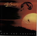 AIR SUPPLY NOW AND FOREVER VG-VG - VINYL