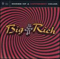 BIG & RICH   HORSE OF A DIFFERENT COLOR - CD