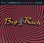 BIG & RICH   HORSE OF A DIFFERENT COLOR - CD
