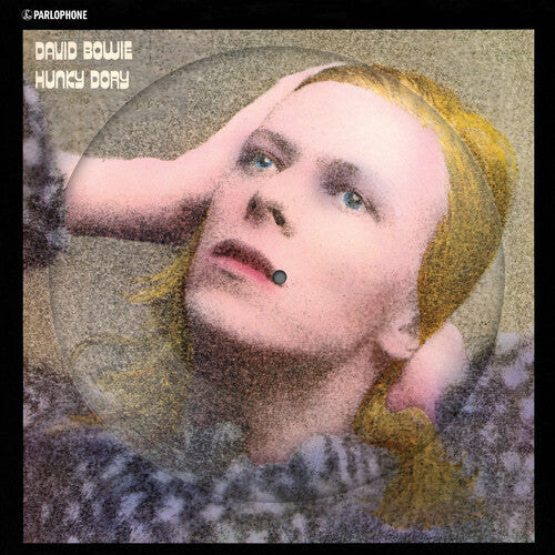 David Bowie Hunky Dory (2015 Remaster) (Picture Disc Vinyl, Remastered) - VINYL