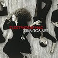 FLEETWOOD MAC  SAY YOU WILL - CD