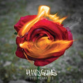 HANDGUNS  DISENCHANTED - CD