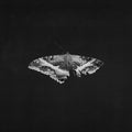 KENDRICK LAMAR To Pimp A Butterfly (10 Year Anniversary Edition) [Metallic Blends 2 LP]  - VINYL