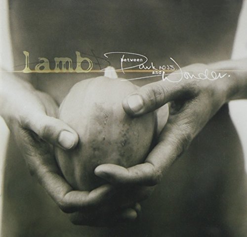 LAMB  BETWEEN DARKNESS AND WONDER - CD