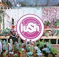 LUSH  LOVERLIFE - CD
