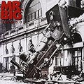 MR BIG    LEAN INTO IT - CD
