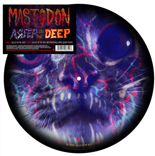 Mastodon – Asleep In The Deep Pic Disc VG VG - VINYL