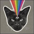 NEVER SHOUT NEVER  BLACK CAT - CD