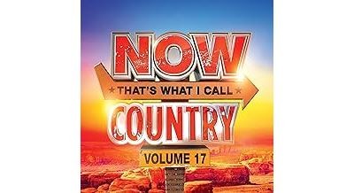 NOW THAT'S WHAT I CALL COUNTRY VOLUME 17 - CD