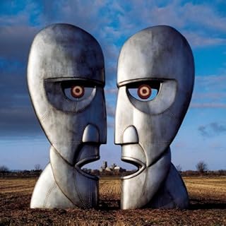 PINK FLOYD  THE DIVISION - CD