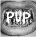 PUP VG VG - VINYL