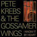 Pete Krebs & The Gossamer Wings - RSD VINYL
