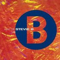 STEVIE B  THE BEST OF - CD