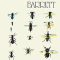 SYD BARRETT    BARRETT - CD