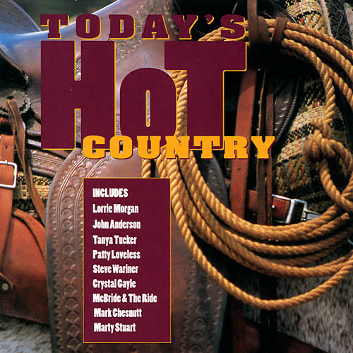 TODAY'S HOT COUNTRY  - CD