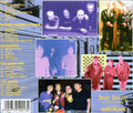 The British Punkinvasion Vol. 5 - VINYL