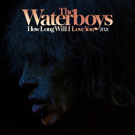 The Waterboys How Long Will  I love You - RSD VINYL