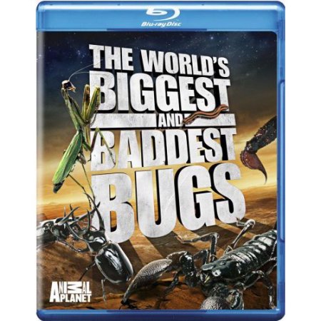 The World's Biggest And Baddest Bugs - Blu-ray