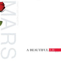 Thirty Seconds to Mars  A Beautiful Lie - VINYL