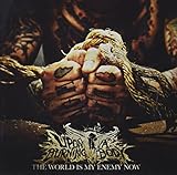 UPON A BURNING BODY  THE WORLD IS MY ENEMY NOW - CD