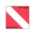 VAN HALEN DIVER DOWN VG-GD - VINYL
