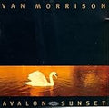 VAN MORRISON  AVALON SUNSET - CD