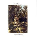 VAN MORRISON  TUPELO HONEY  - CD
