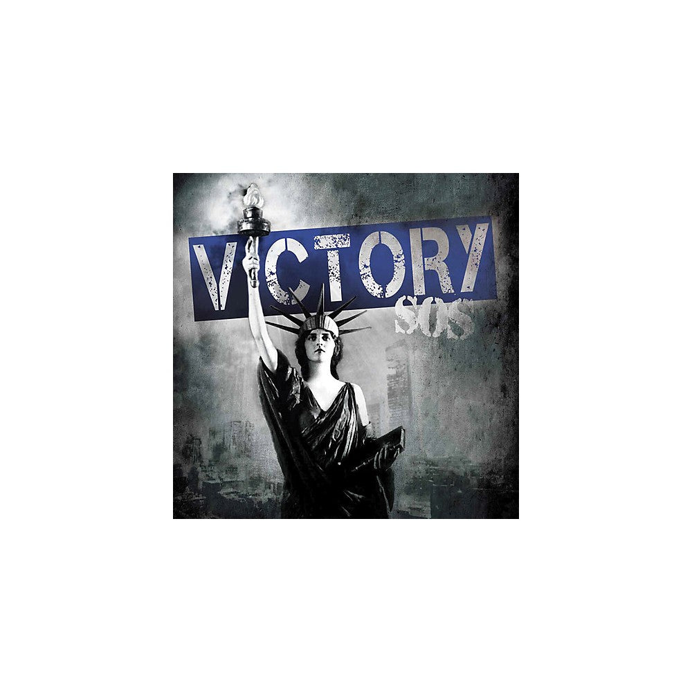 Victory SOS (Blue Black Splatter) VG VG - VINYL